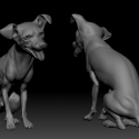 homework_dog