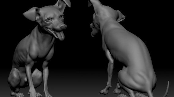 homework_dog