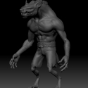 rat