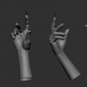 zbrushhandposed