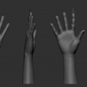 zbrushhandshaded
